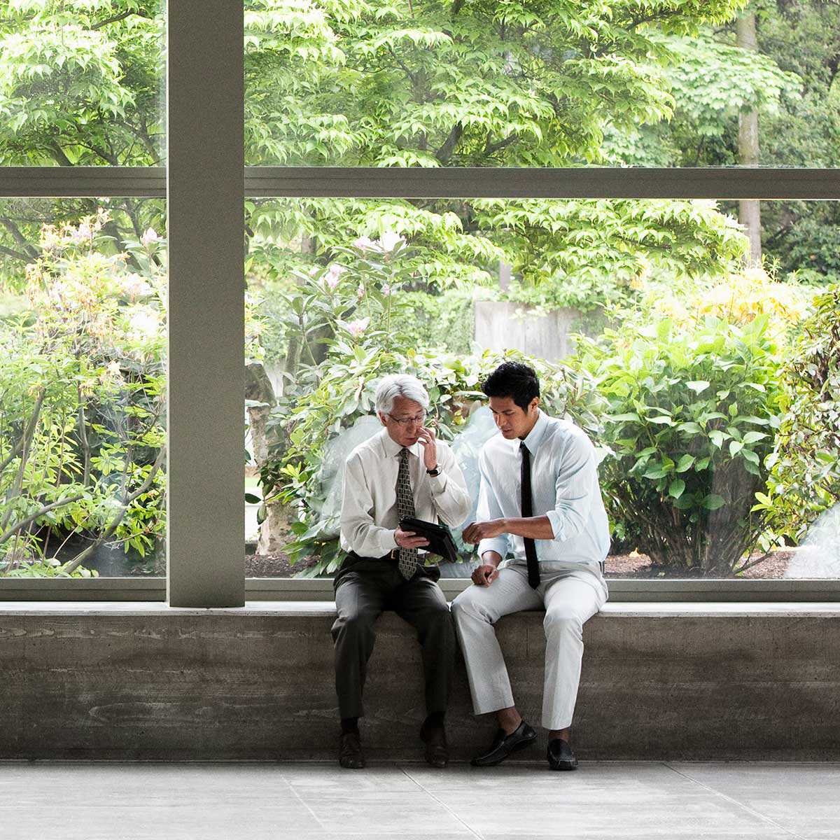 Sustainability & Governance Services