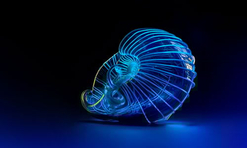 GROWTH AWARDS | Seven years standing alongside the entrepreneurship that makes progress, reality