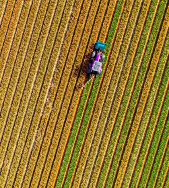 Ενισχύοντας τον αγροδιατροφικό τομέα μέσα από τον Μηχανισμό Ανάκαμψης και Ανθεκτικότητας