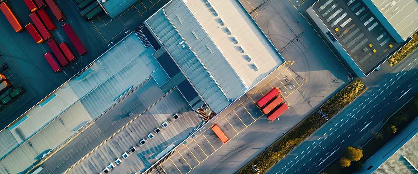 insight featured image