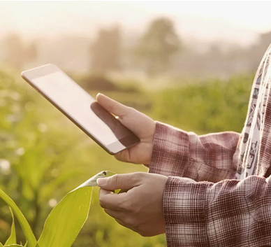Οικονομικός μετασχηματισμός του αγροτικού τομέα