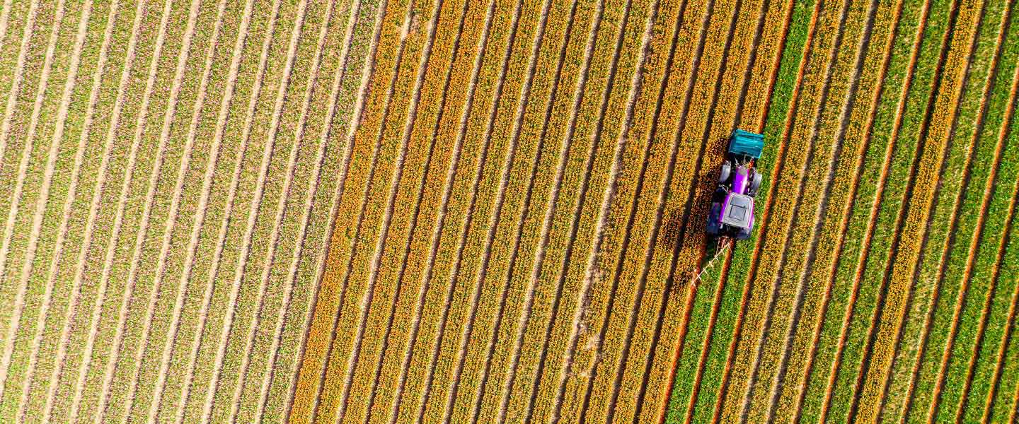 insight featured image