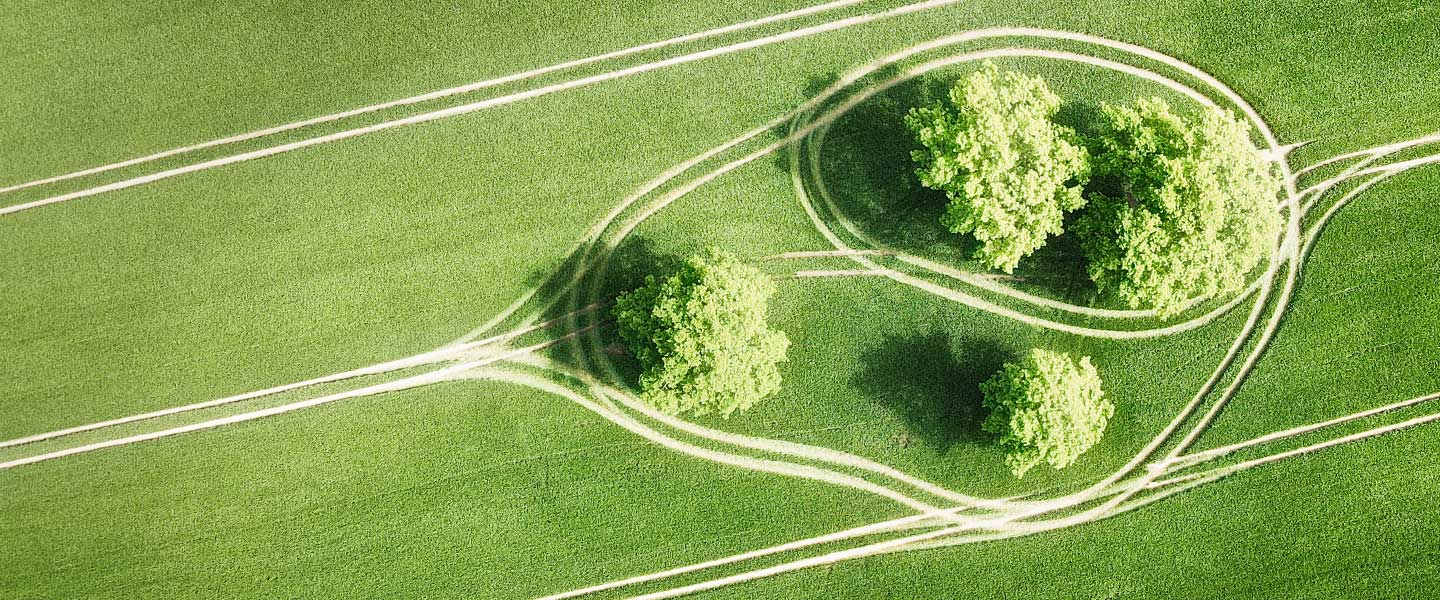 insight featured image