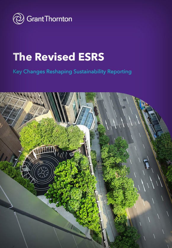 The Revised ESRS