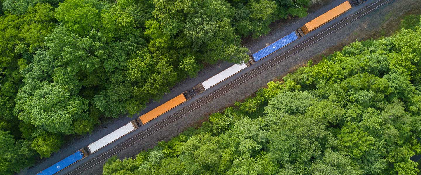 insight featured image